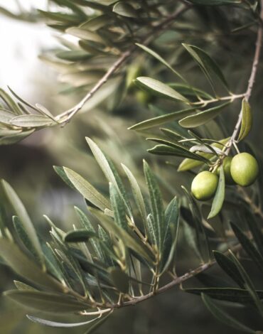 AdobeStock_233270515